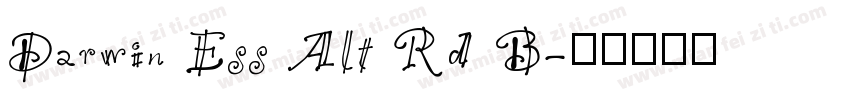 Darwin Ess Alt Rd B字体转换
